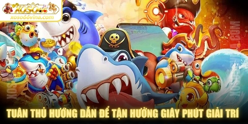 Tuân thủ hướng dẫn để tận hưởng những giây phút giải trí kịch tính