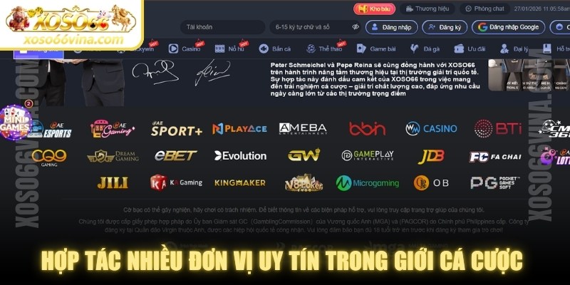 Hợp tác nhiều đơn vị uy tín trong giới cá cược nâng cao tên tuổi