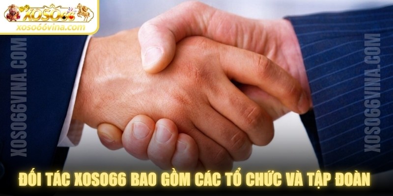 Đối tác XOSO66 bao gồm các tổ chức và tập đoàn uy tín