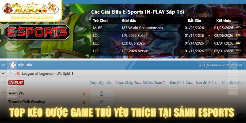Top kèo được game thủ yêu thích tại sảnh Esports XOSO66