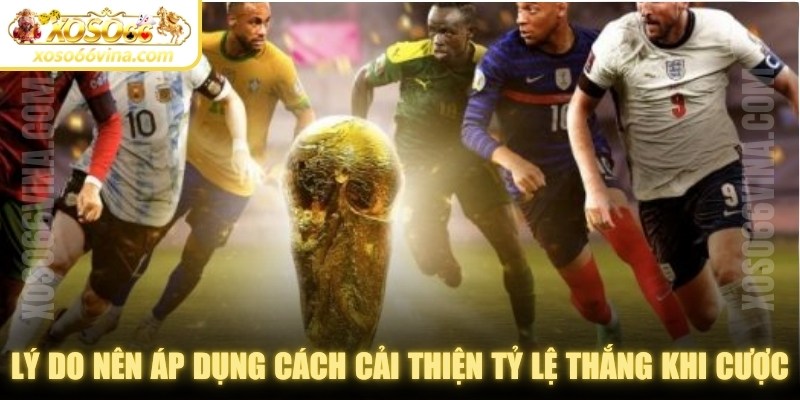 Lý do người chơi nên áp dụng cách cải thiện tỷ lệ thắng khi đặt cược