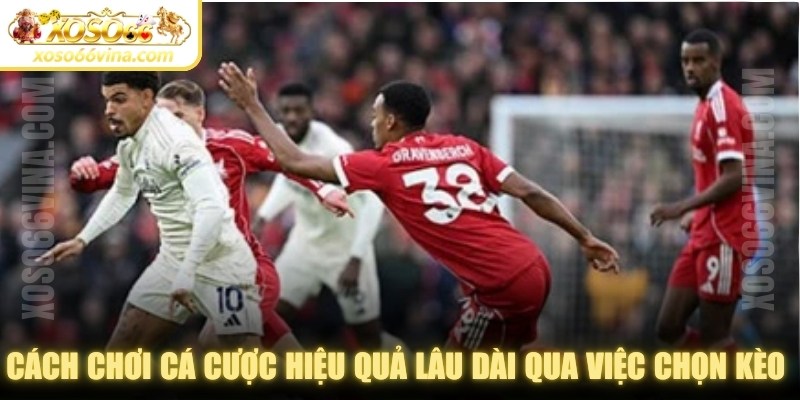 Cách chơi cá cược hiệu quả lâu dài thông qua việc chọn kèo hợp lý