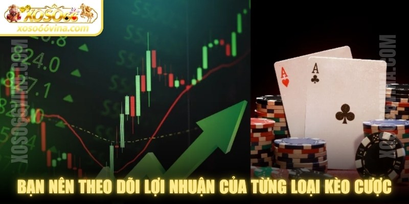 Bạn nên theo dõi lợi nhuận của từng loại kèo cược 