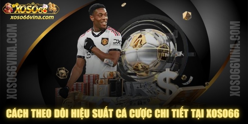 Cách Theo Dõi Hiệu Suất Cá Cược