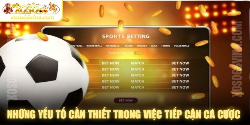 Những yếu tố cần thiết trong việc tiếp cận cá cược bài bản