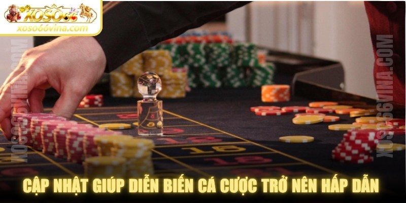 Những cập nhật giúp diễn biến cá cược online trở nên hấp dẫn và khó đoán