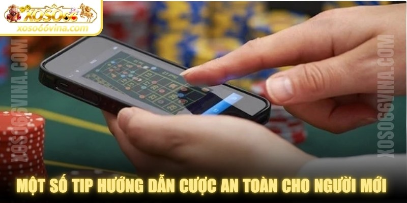 Một số tip hướng dẫn cược an toàn cho người mới hiệu quả nhất