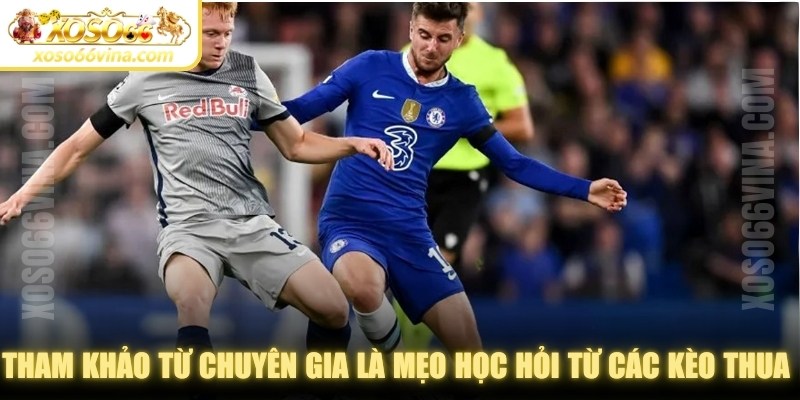 Tham khảo từ chuyên gia là mẹo học hỏi từ các kèo thua hiệu quả