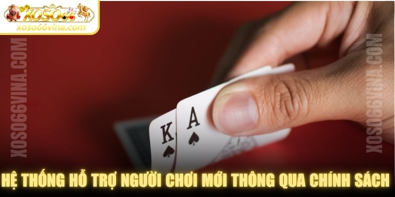 Hệ thống hỗ trợ người chơi mới thông qua các chính sách hot